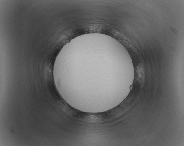 X0000116440522200912291930