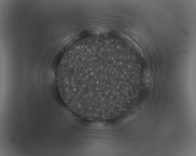 X0000116440523200912291930