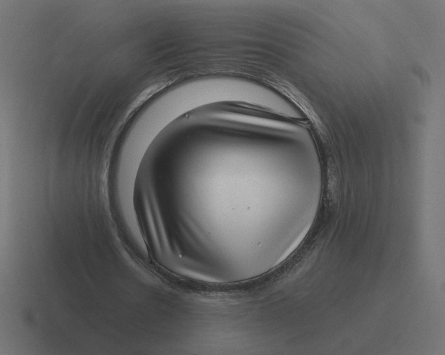 X0000116440530200912291930