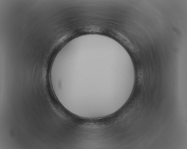 X0000116440538200912291930