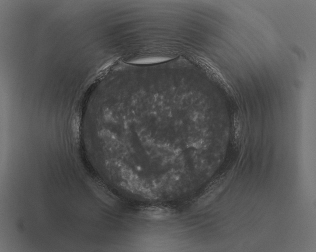 X0000116440542200912291930
