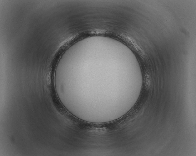 X0000116440543200912291930