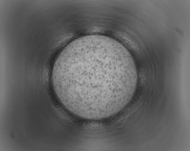 X0000116440546200912291930