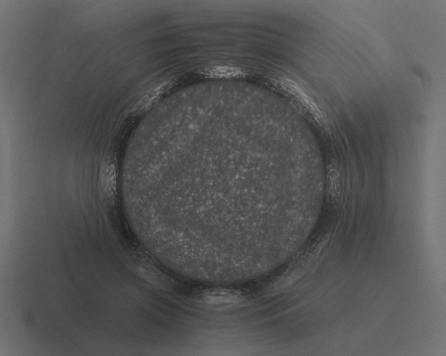 X0000116440549200912291930