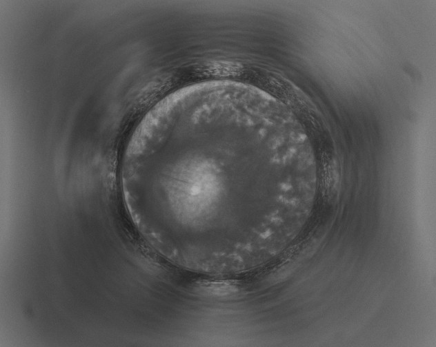 X0000116440553200912291930