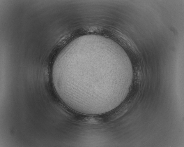 X0000116440558200912291930