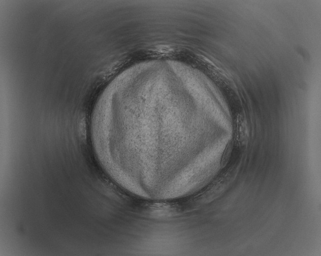 X0000116440562200912291930