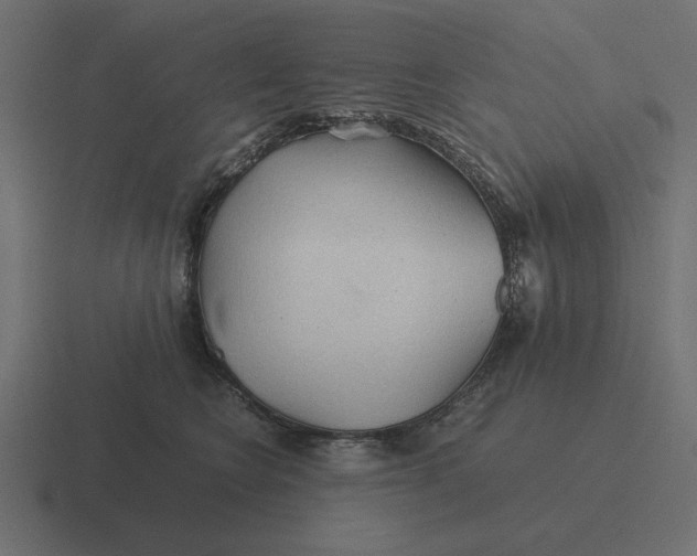 X0000116440566200912291930