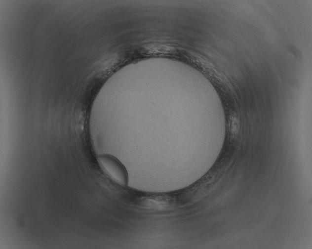 X0000116440567200912291930