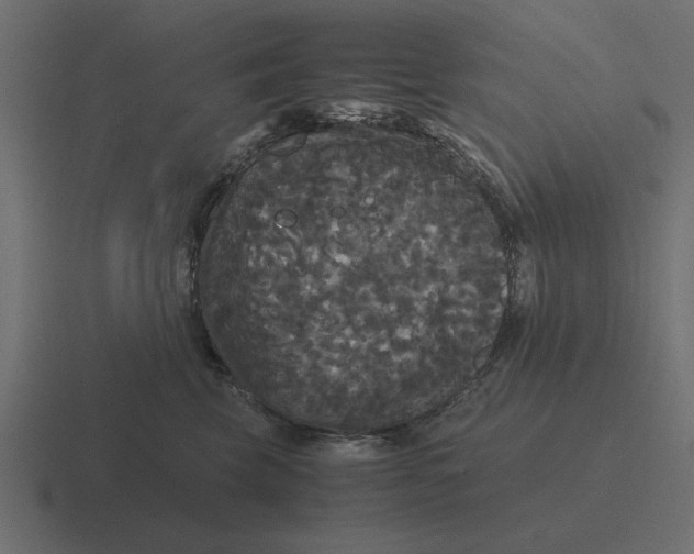 X0000116440569200912291930