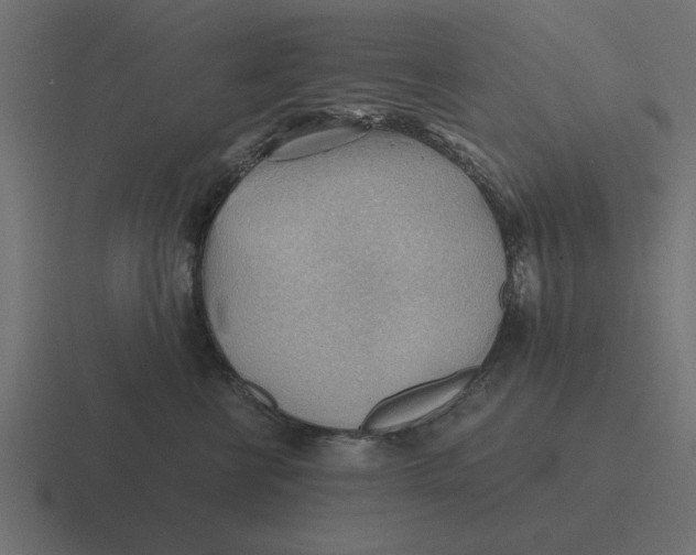 X0000116440570200912291930