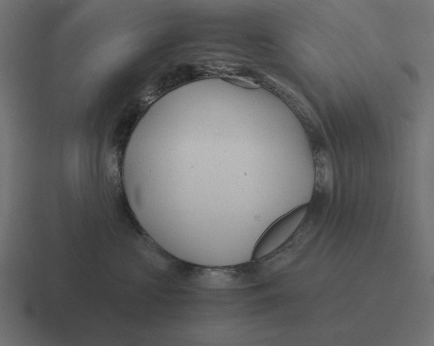 X0000116440573200912291930
