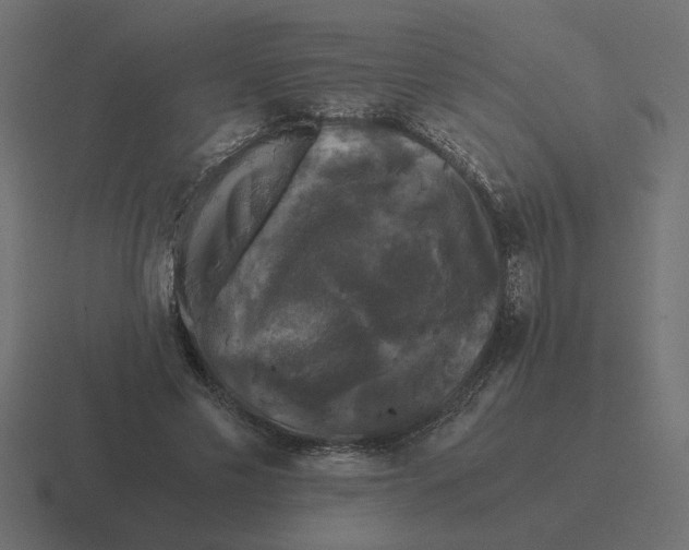 X0000116440589200912291929
