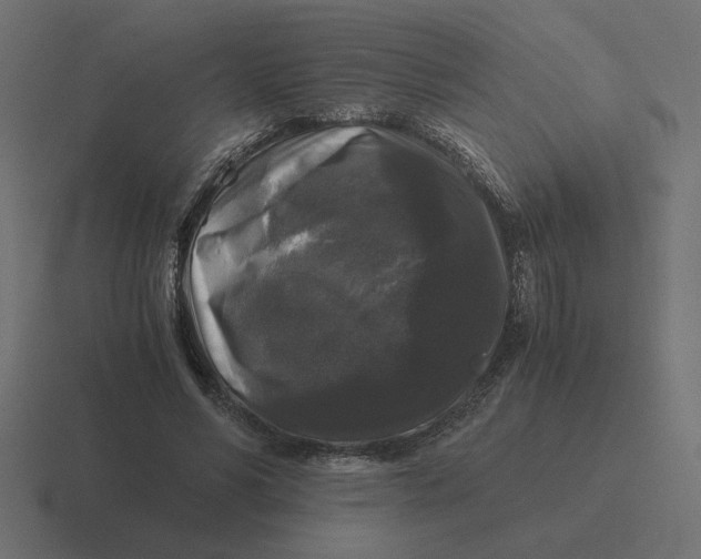 X0000116440590200912291929