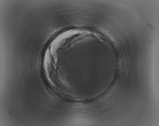 X0000116440592200912291929