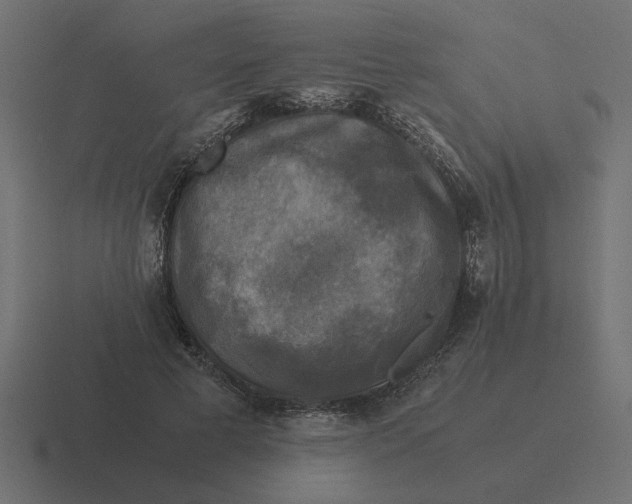 X0000116440593200912291929