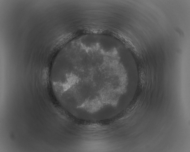 X0000116440594200912291929