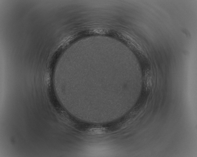 X0000116440595200912291929