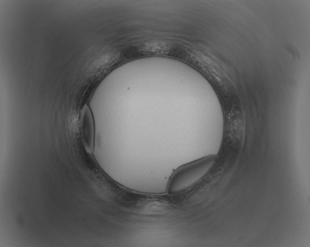 X0000116440597200912291929