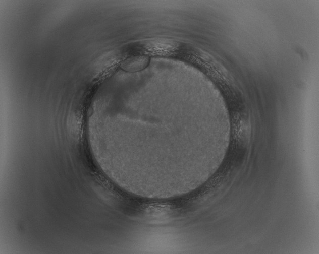 X0000116440599200912291929