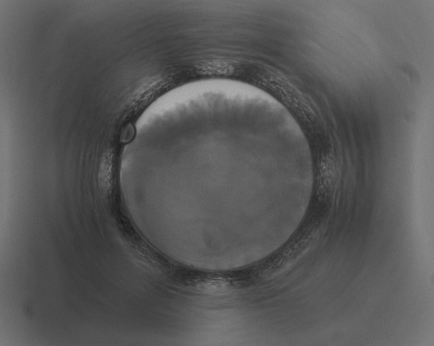 X0000116440600200912291929