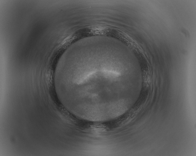 X0000116440603200912291929