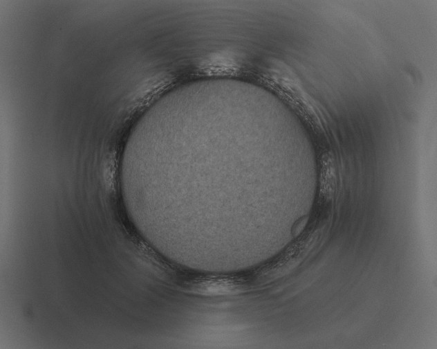 X0000116440604200912291929