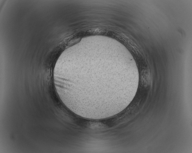 X0000116440605200912291929