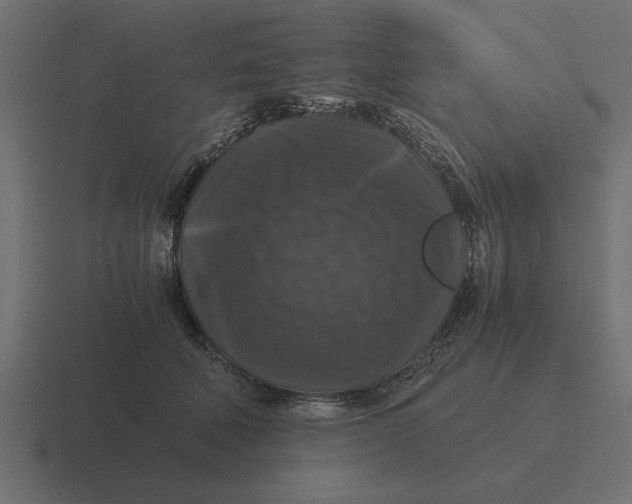 X0000116440610200912291929
