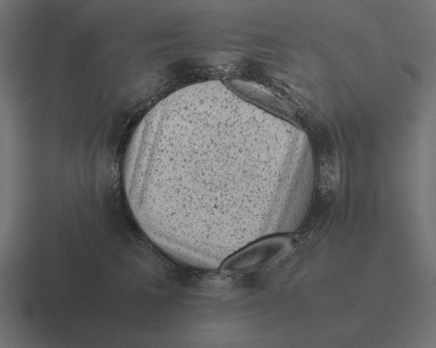 X0000116440613200912291929