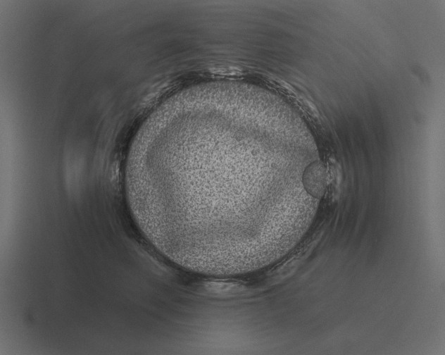 X0000116440614200912291929