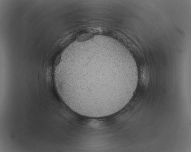 X0000116440616200912291929