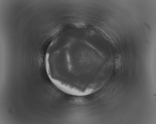 X0000116440618200912291929