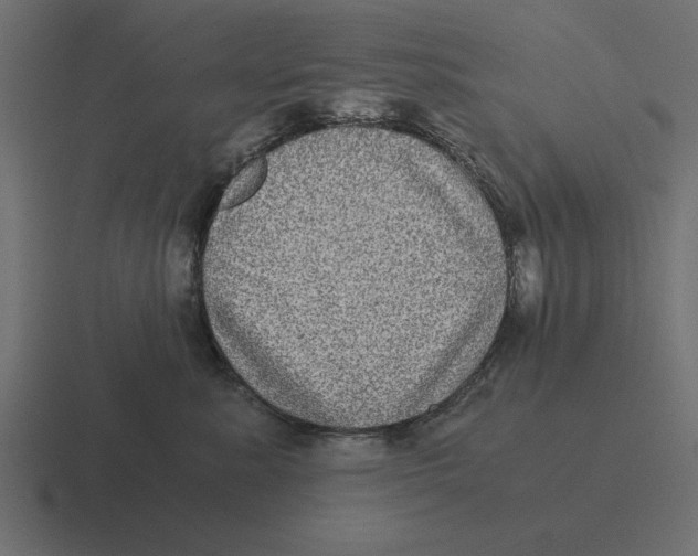 X0000116440619200912291929