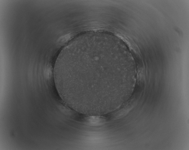 X0000116440623200912291929