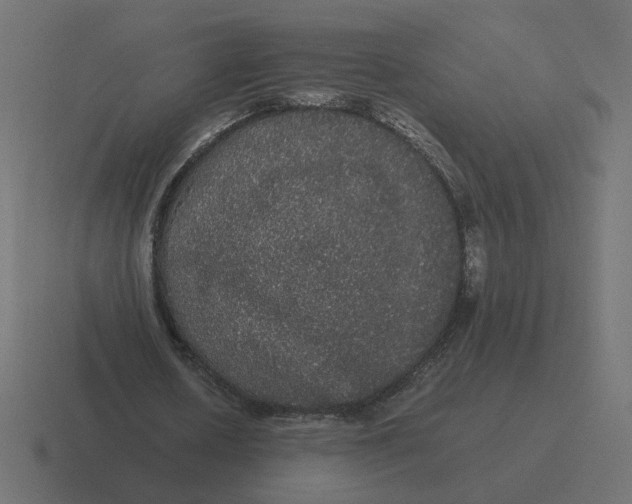 X0000116440626200912291928