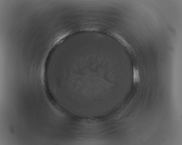 X0000116440627200912291928