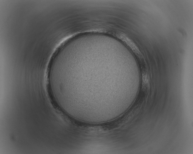 X0000116440628200912291928