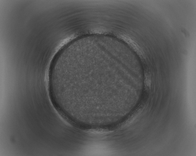X0000116440630200912291928