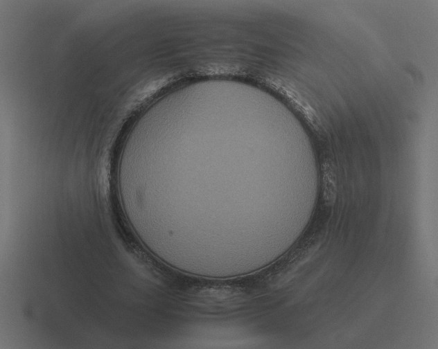 X0000116440631200912291928