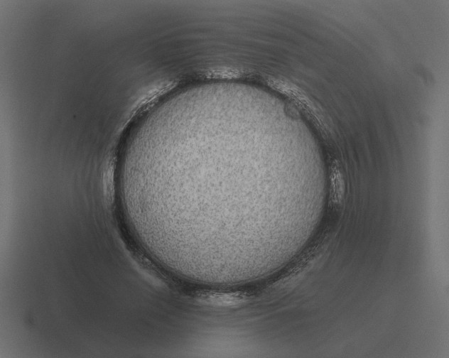 X0000116440638200912291929