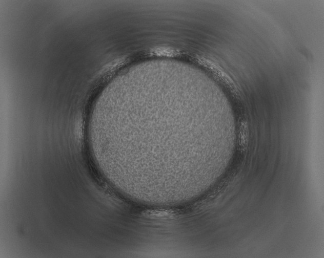 X0000116440639200912291929
