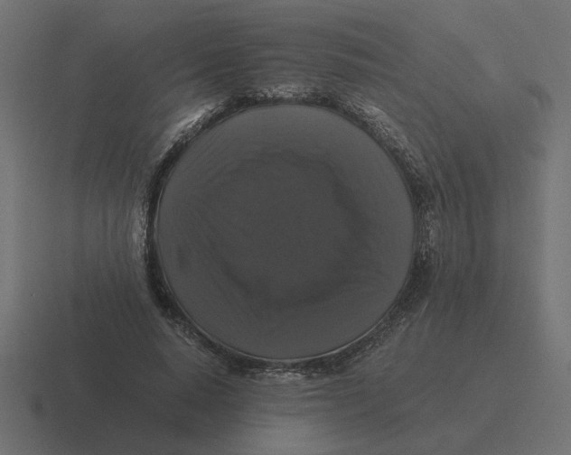 X0000116440640200912291929