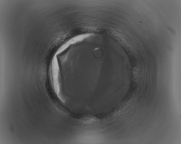 X0000116440642200912291929