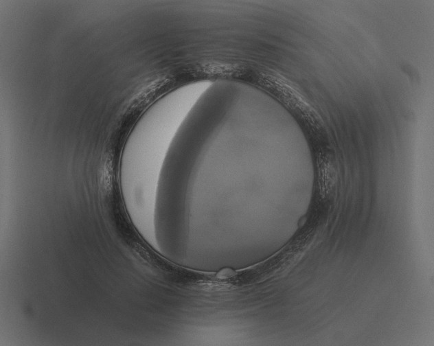 X0000116440644200912291929