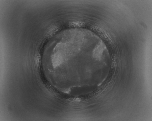 X0000116440647200912291929