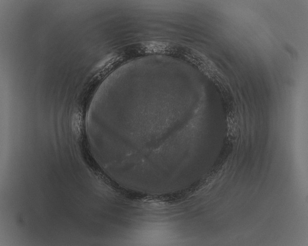 X0000116440648200912291929