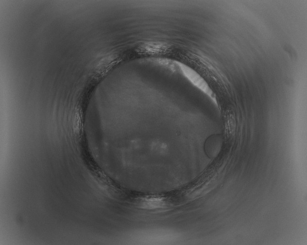 X0000116440651200912291929