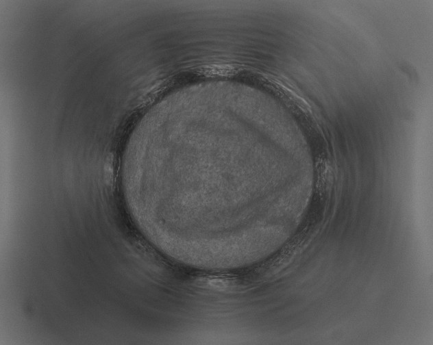 X0000116440655200912291929