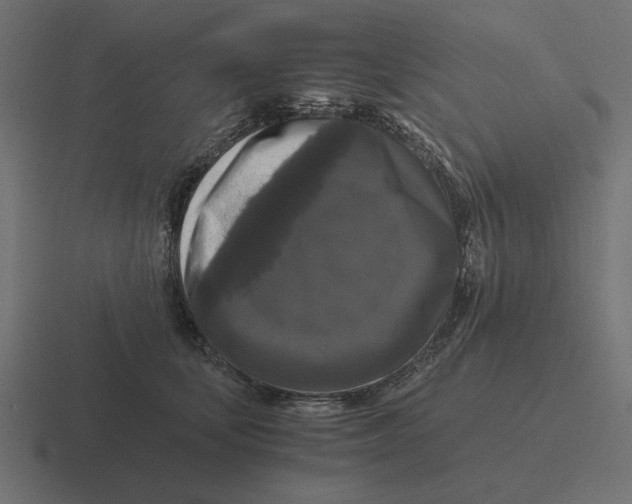 X0000116440659200912291929
